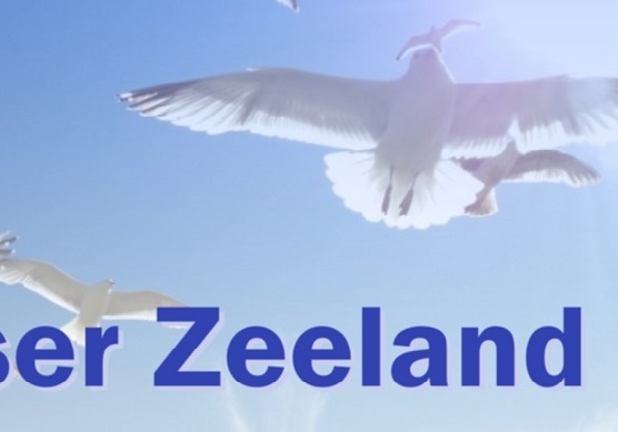 Gruppenunterkunft in Zoutelande, Zeeland, Niederlande, Holland