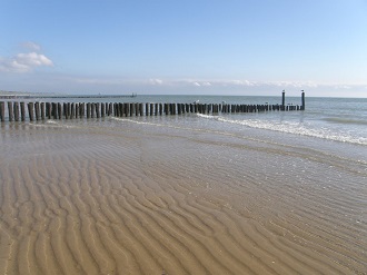Strand Zoutelande