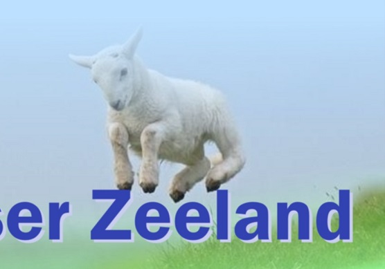 Hotelzimmer mit Frhstck in Zoutelande, Zeeland, Niederlande, Holland
