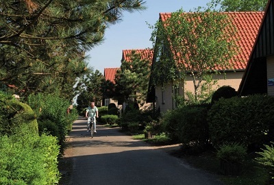 Ferienhaus fr 10 Personen in Renesse