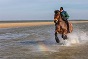 Foto Noordwelle 8