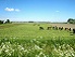 Polderlandschaft in Zeeland