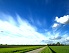 Spaziergang durch die polder