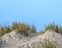Die Dnen von Zeeland
